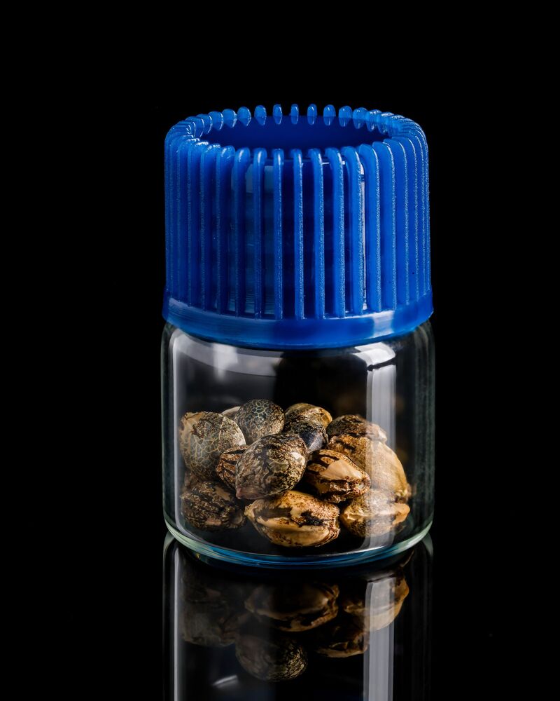 Goofiez^2, Фасовка: 3, изображение 5